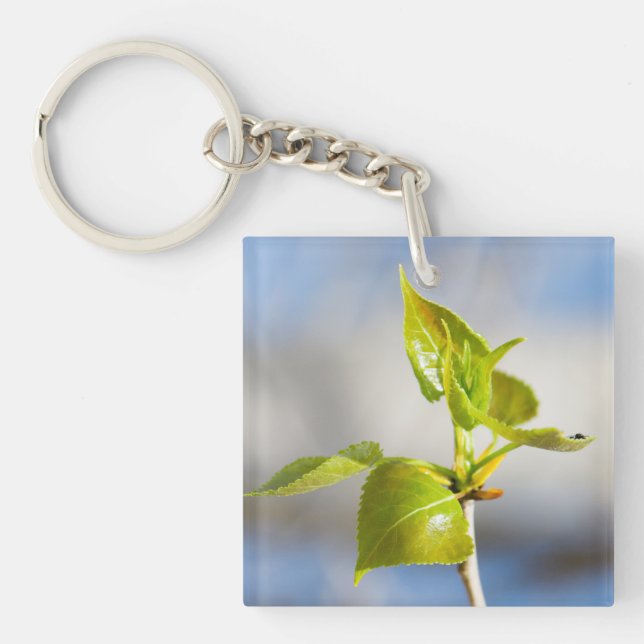 Porte-clefs Jeunes feuilles (Devant)