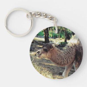 Porte-clefs Jingle Baba et Jelly Baba