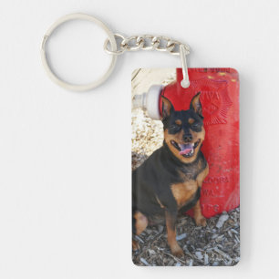 Porte-clefs Joie de MInPin