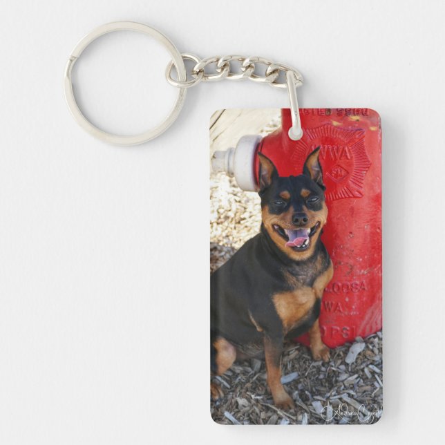 Porte-clefs Joie de MInPin (Devant)