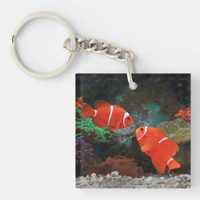 Porte-clefs Joli Aquarium Cuisine à thème Poisson (Devant)