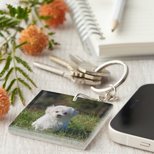 Porte-clefs Joli chiot blanc (Devant Droit)