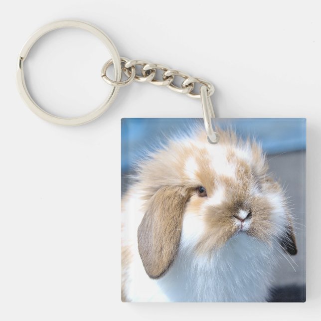 Porte-clefs Joli lapin blanc et brun flamand (Devant)