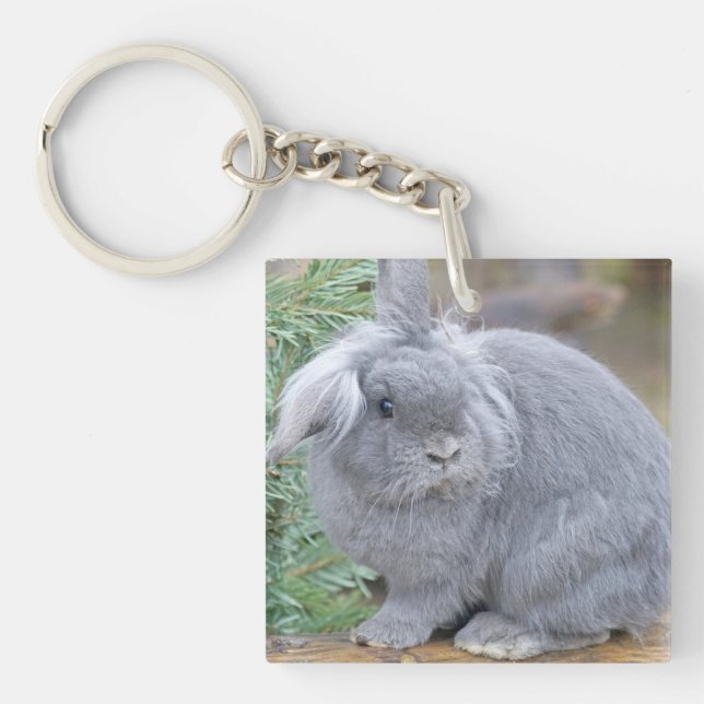 Porte-clefs Joli lapin gris (Devant)
