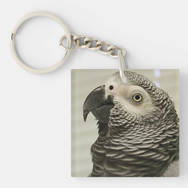 Porte-clefs Joli perroquet gris du Congo (Devant)