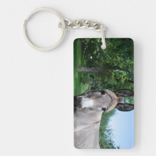 Porte-clefs Joli portrait d'âne