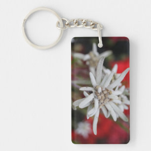 Porte-clefs Jolie Edelweiss Leontopodium nivale