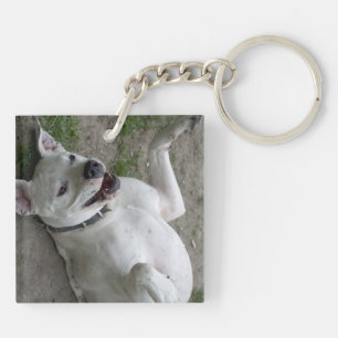 Porte-clefs Jouer Dogo Argentino