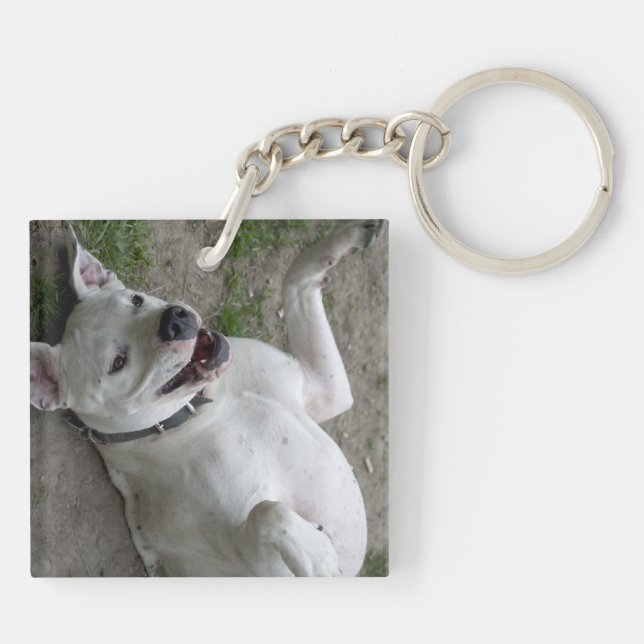 Porte-clefs Jouer Dogo Argentino (Dos)