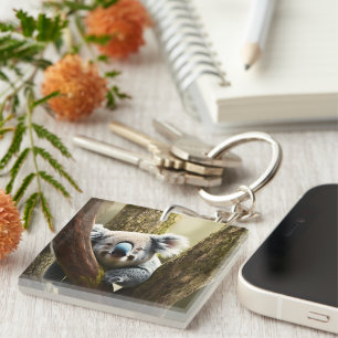 Porte-clefs Joyeux Koala Australien En Arbre, Clavier