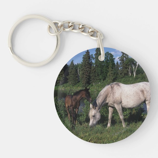 Porte-clefs Jument et poulain arabes 2 (Devant)