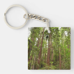 Porte-clefs Jusqu'aux séquoias I à Muir Woods National Monumen