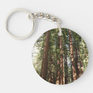 Porte-clefs Jusqu'aux séquoias II à Muir Woods National Monume