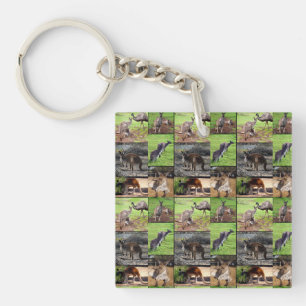 Porte-clefs Kangaroo Picture Collage,