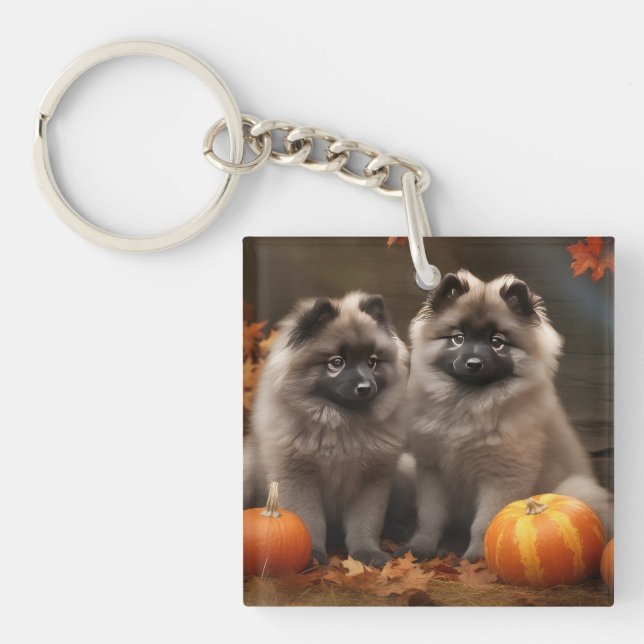 Porte-clefs Keeshond Chiot Automne Citrouille délice (Devant)