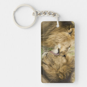 Porte-clefs Kenya, Masai Mara