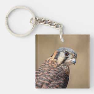 Porte-clefs Kestrel américain