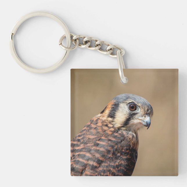 Porte-clefs Kestrel américain (Devant)