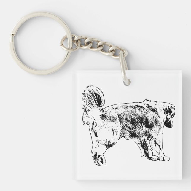 Porte-clefs Keys Jingle Companion (Devant)