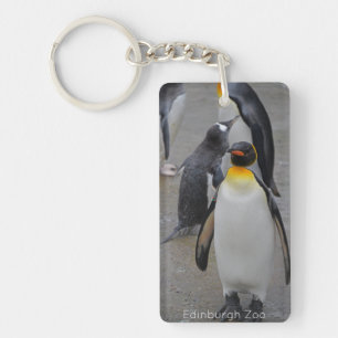 Porte-clefs King Penguin & Friends Edinburgh Zoo Scotland Post