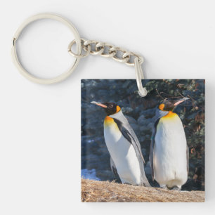 Porte-clefs King Penguin Pair contre fond d'hiver