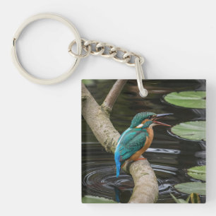 Porte-clefs Kingfisher Bird