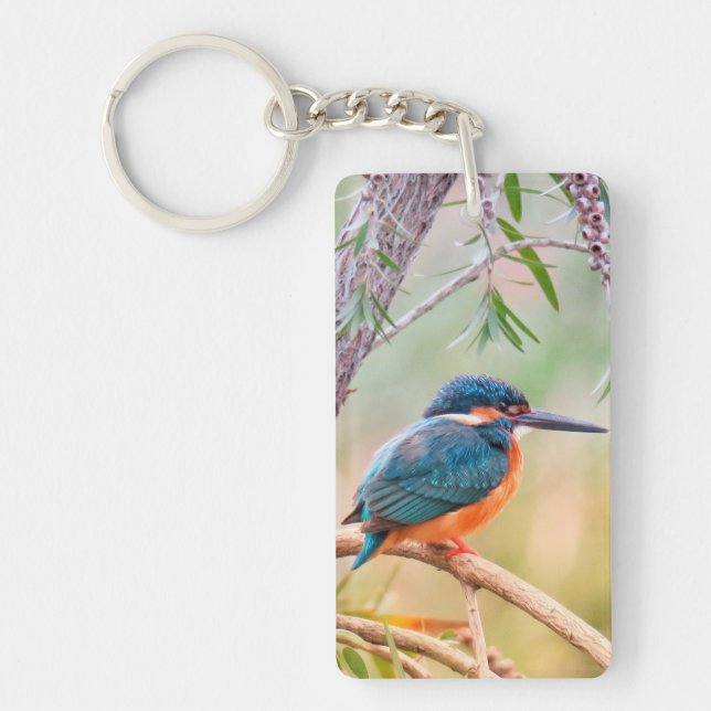 Porte-clefs Kingfisher Perché sur la branche (Devant)