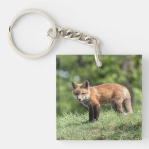 Porte-clefs Kit de Fox rouge