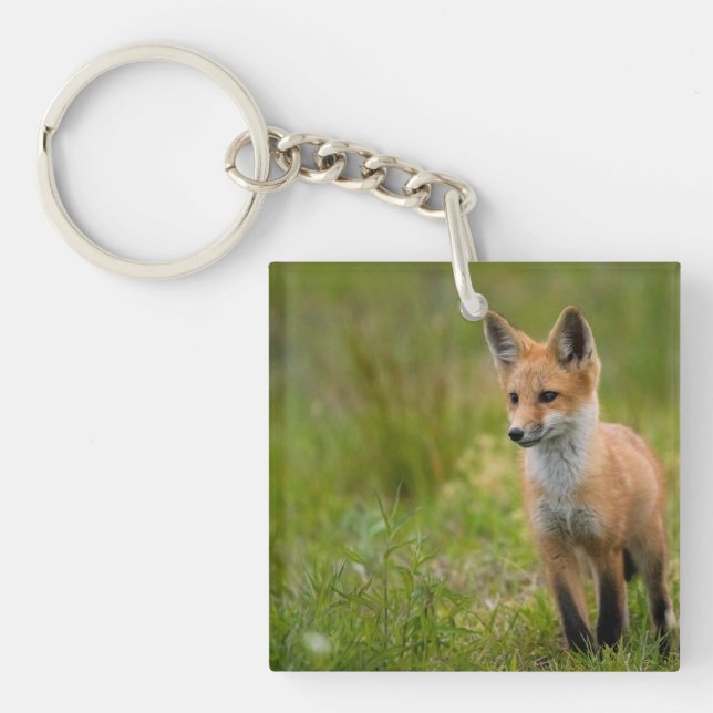 Porte-clefs Kit Renard Rouge Dans Pré Grassy (Devant)