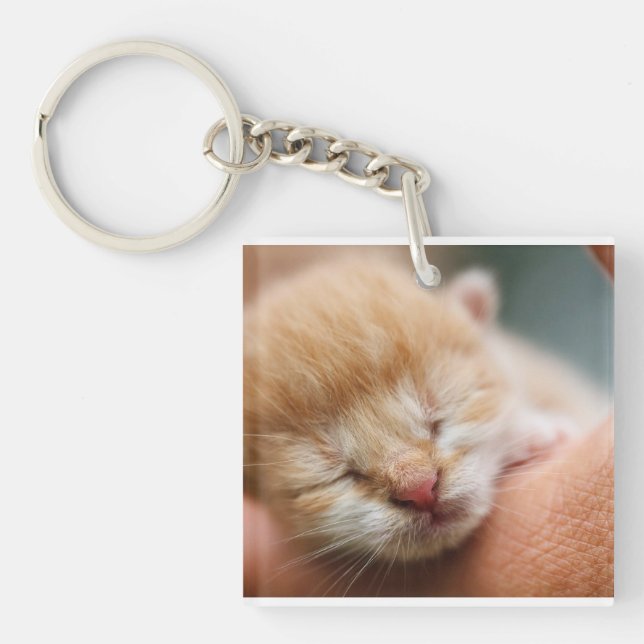 Porte-clefs Kitten, Feline, Nature (Devant)