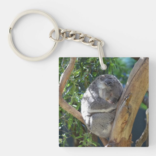 Porte-clefs Koala dormant dans l'arbre (Devant)