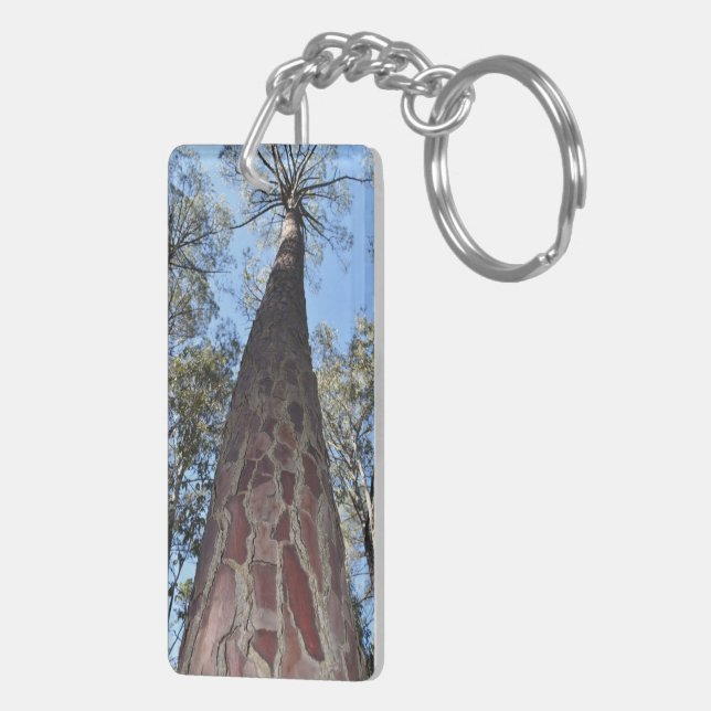 Porte-clefs La Gerche Ponderosa Pine Cercle (Dos droit)