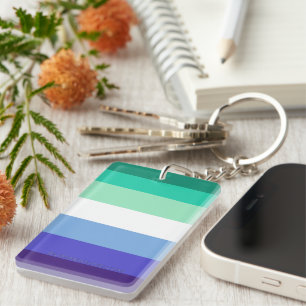 Porte-clefs La palette de drapeau des hommes gays trans-inclus