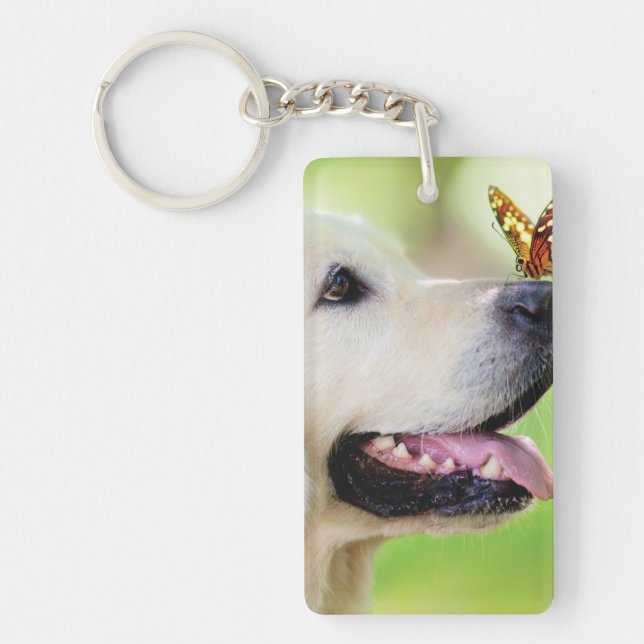 Porte-clefs Labrador And Butterfly Throw Pillow (Devant)