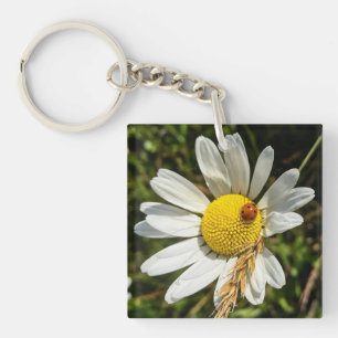 Porte-clefs Ladybug sur Daisy