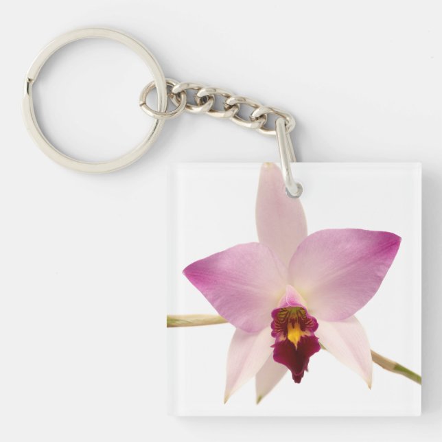 Porte-clefs Laelia Ancep (Devant)