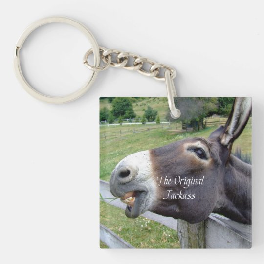 Porte Clefs L Animal De Ferme Drole De Mule D Ane D Ane Zazzle Fr