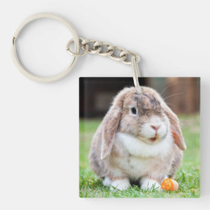 Porte-clefs lapin à oreilles de lop mignon