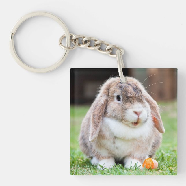 Porte-clefs lapin à oreilles de lop mignon (Devant)