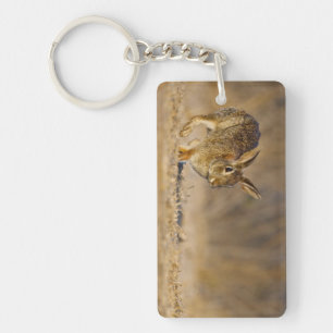 Porte-clefs lapin à queue blanche sautant
