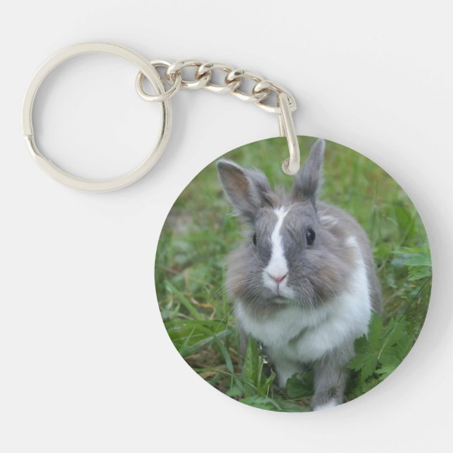 Porte-clefs Lapin lapin (Devant)