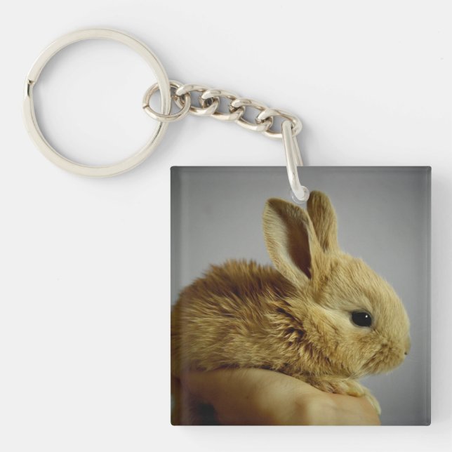 Porte-clefs Lapin lapin mignon bébé à la main (Devant)