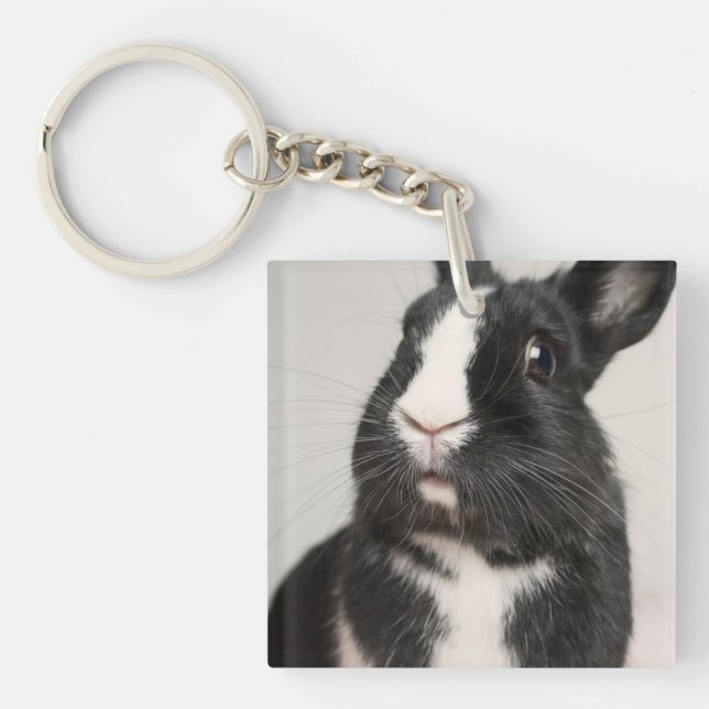 Porte-clefs Lapin lapin noir et blanc surprenant (Devant)