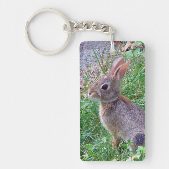 Porte-clefs Lapin mignon de lapin (Devant)