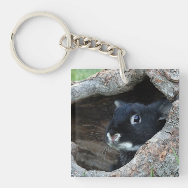 Porte-clefs Lapin noir en creux d'un arbre photo (Devant)