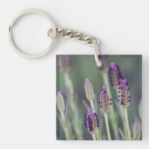 Porte-clefs Lavande mexicaine