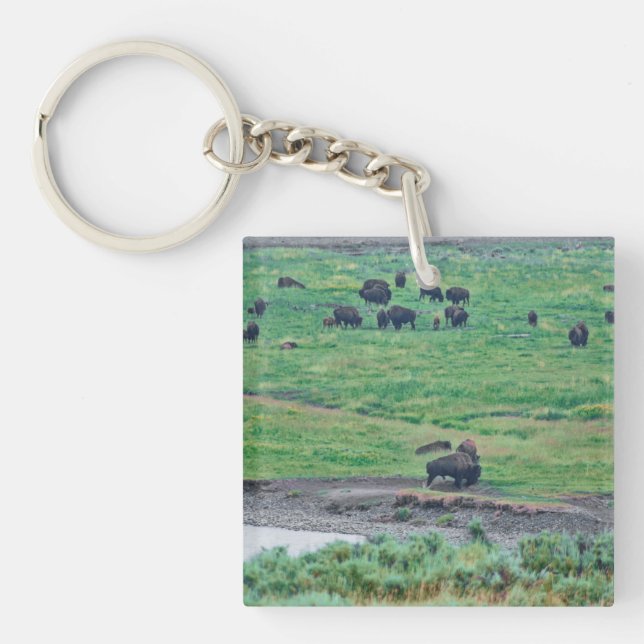 Porte-clefs Le bison américain (Devant)