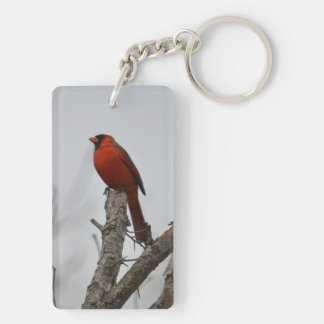 Porte-clefs le cardinal au sommet de l'arbre.