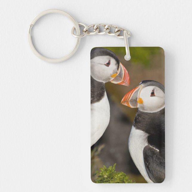 Porte-clefs Le Macareux Atlantique (Devant)