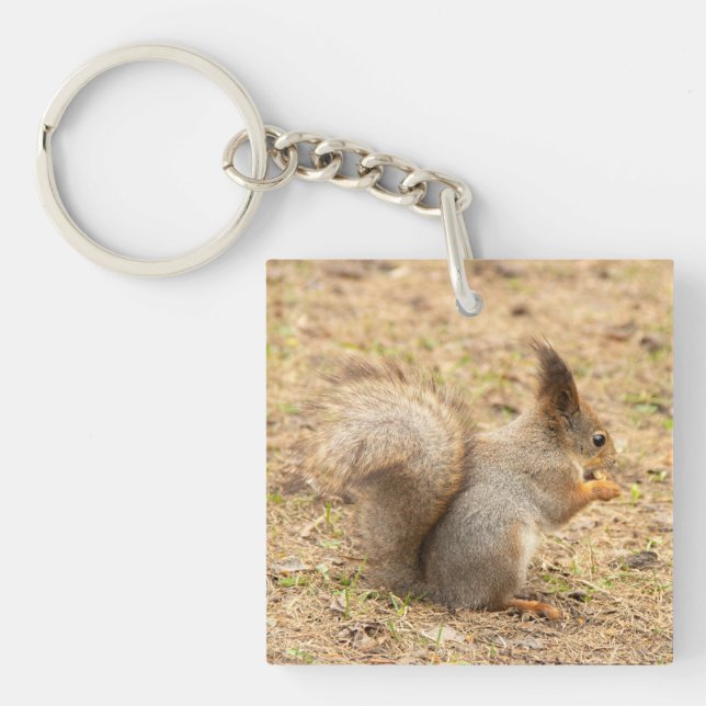 Porte-clefs L'écureuil mignon mange une photo de noix (Devant)